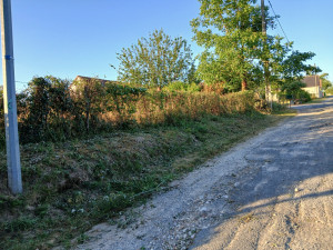 Photo de galerie - Après avoir tailler les ronces