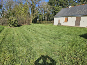 Photo de galerie - Première tonte de l année 