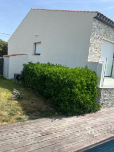 Photo de galerie - Elagage et coupe d'arbres