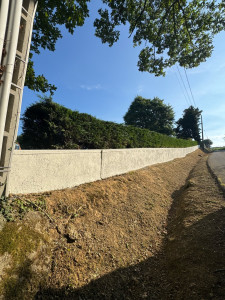 Photo de galerie - Peinture - Tapisserie