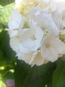 Photo de galerie - Ménage