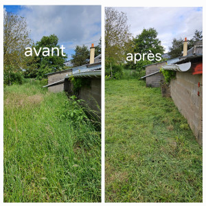 Photo de galerie - Débroussaillage