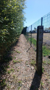 Photo de galerie - Création de passage derrière clôture 