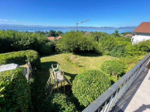 Photo de galerie - Elagage et coupe d'arbres