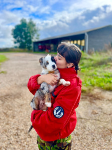 Photo de galerie - Garde chien