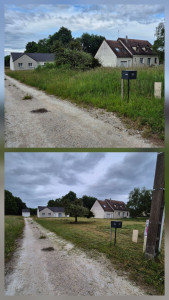 Photo de galerie - Tonte de pelouse - Débroussaillage