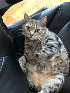 Photo de galerie - ❤️