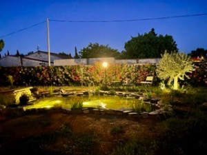 Photo de galerie - Paysagiste - Aménagement du jardin