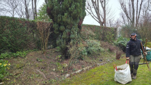 Photo de galerie - Taille de haies