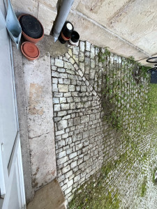 Photo de galerie - Nettoyage des espaces verts 