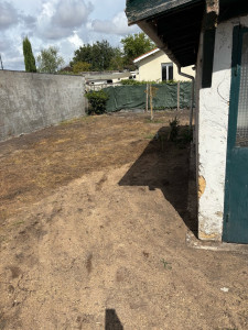 Photo de galerie - Elagage et coupe d'arbres