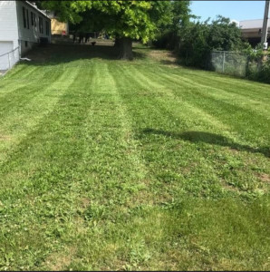 Photo de galerie - Tonte