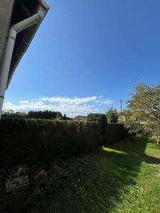 Photo de galerie - Taille de haie de thuya 