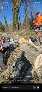 Photo de galerie - Abattages d’arbre 
