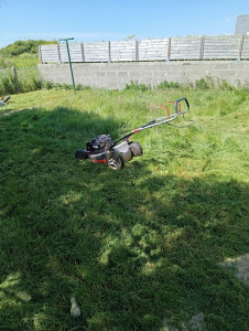 Photo de galerie - Tonte de pelouse - Débroussaillage