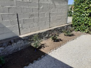 Photo de galerie - Jardinier