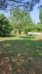 Photo de galerie - Entretient d'un terrain laissé plusieurs mois à l'abandon 