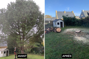 Photo de galerie - Abattage d un résineux sur la commune d Hénnebont