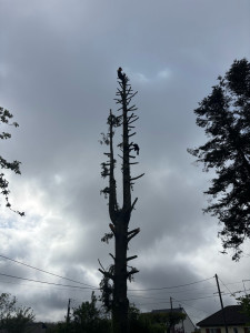 Photo de galerie - Bricolage et multi services