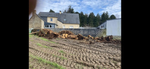 Photo de galerie - Cassage de bois :
 Merlin / coins
 30 stères.