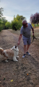 Photo de galerie - Garde chien ? 
