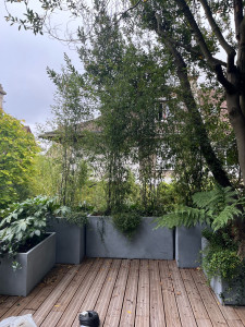 Photo de galerie - Paysagiste - Aménagement du jardin