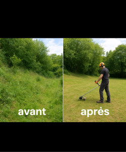 Photo de galerie - Un bon coup de propre sur ce terrain ! ? Voici le résultat après débroussaillage et entretien - je m'occupe de vos extérieurs avec soin et efficacité.