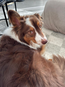 Photo de galerie - Des yeux d’amour ?