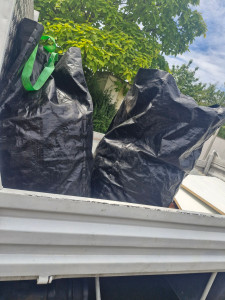 Photo de galerie - Taille de haies et d'arbustes