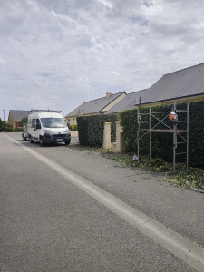 Photo de galerie - Taille de haies et d'arbustes