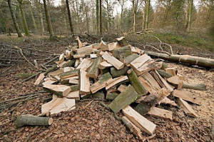 Photo de galerie - Récupération de bois en fourgon pour emmener a domicile 
