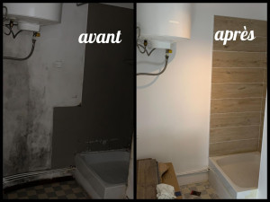 Photo de galerie - Rénovation salle de bain 