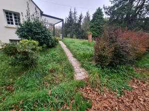 Photo de galerie - Tonte de pelouse - Débroussaillage