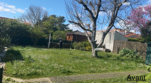 Photo de galerie - Tonte de pelouse - Débroussaillage