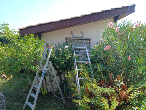 Photo de galerie - Peinture (lasure) des bandeaux, dessous de toit, poteaux et poutres. 