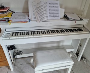 Photo de galerie - Cours de piano à domicile