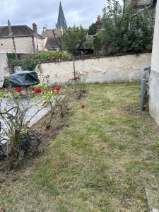 Photo de galerie - Tonte de pelouse - Débroussaillage