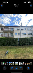 Photo de galerie - Taille de haies