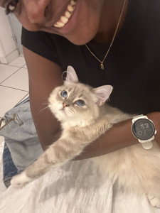 Photo de galerie - Garde d’Athena (23j) 