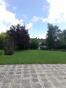 Photo de galerie - Garde animaux
