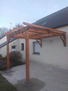 Photo de galerie - Pergola Douglas