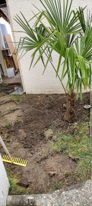 Photo de galerie - Paysagiste - Aménagement du jardin