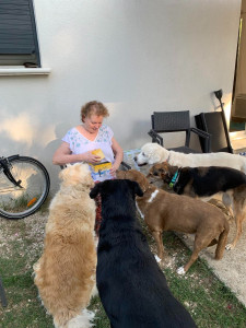 Photo de galerie - Distribution de friandises