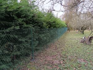 Photo de galerie - Mise en place d'une clôture en grillage souple pour délimiter un terrain avant la vente 