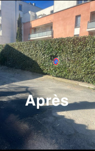 Photo de galerie - Après taille de haie 