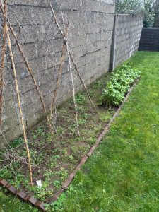 Photo de galerie - Potager avant entretien