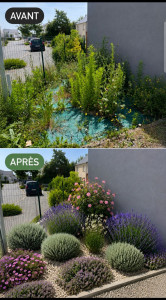 Photo de galerie - Paysagiste - Aménagement du jardin