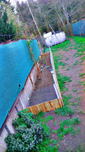 Photo de galerie - Réaliser tout travaux jardinage et même nettoyage de piscine