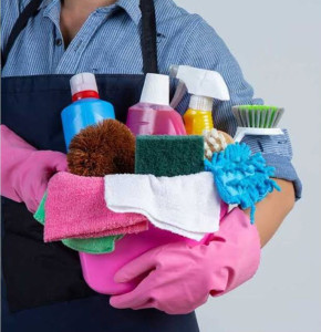 Photo de galerie - Pour tout le repassage 