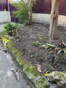 Photo de galerie - élagage 